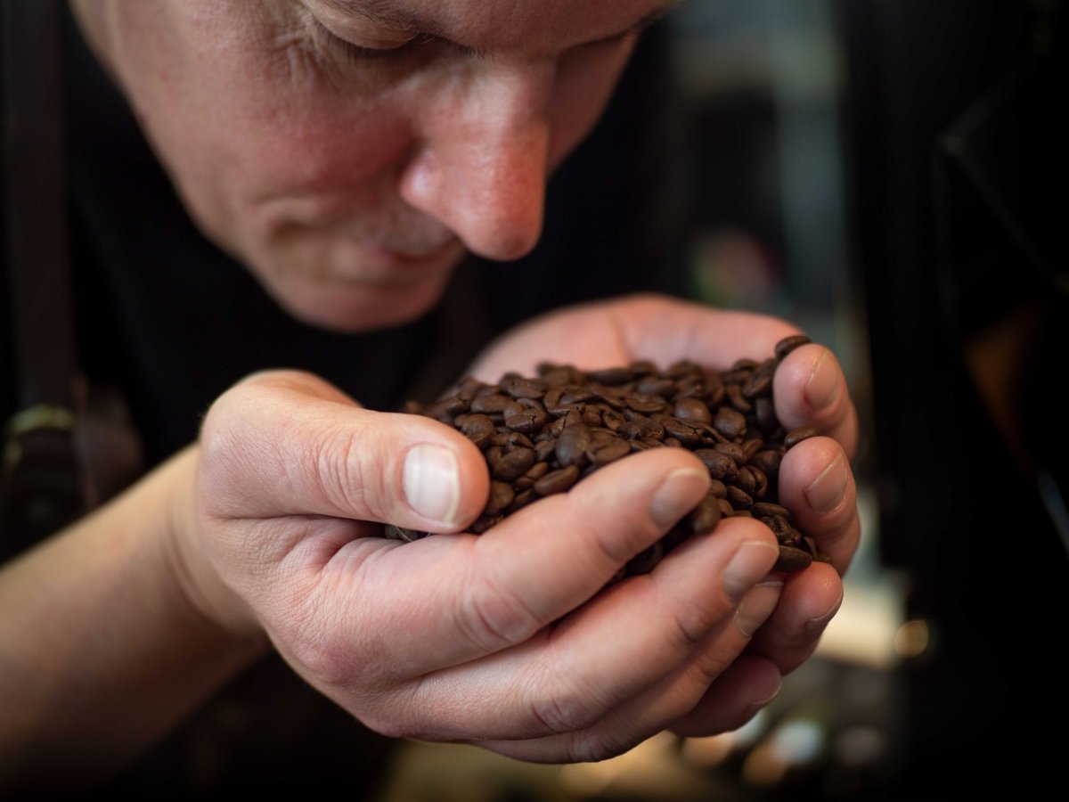 Filterkaffee Sommer Set – die besten Kaffees für Sommer 2026 | Coffee Pirates