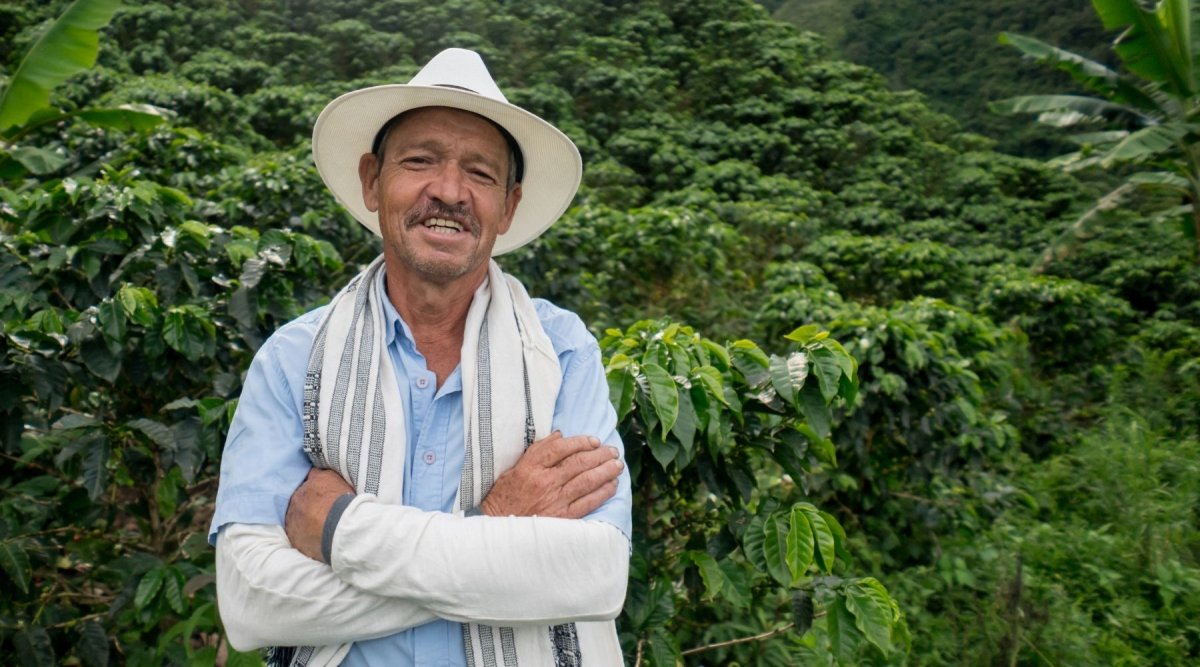 Kaffee – Herkunft & Kleinbauernstrukturen im Specialty Coffee - Coffee Pirates