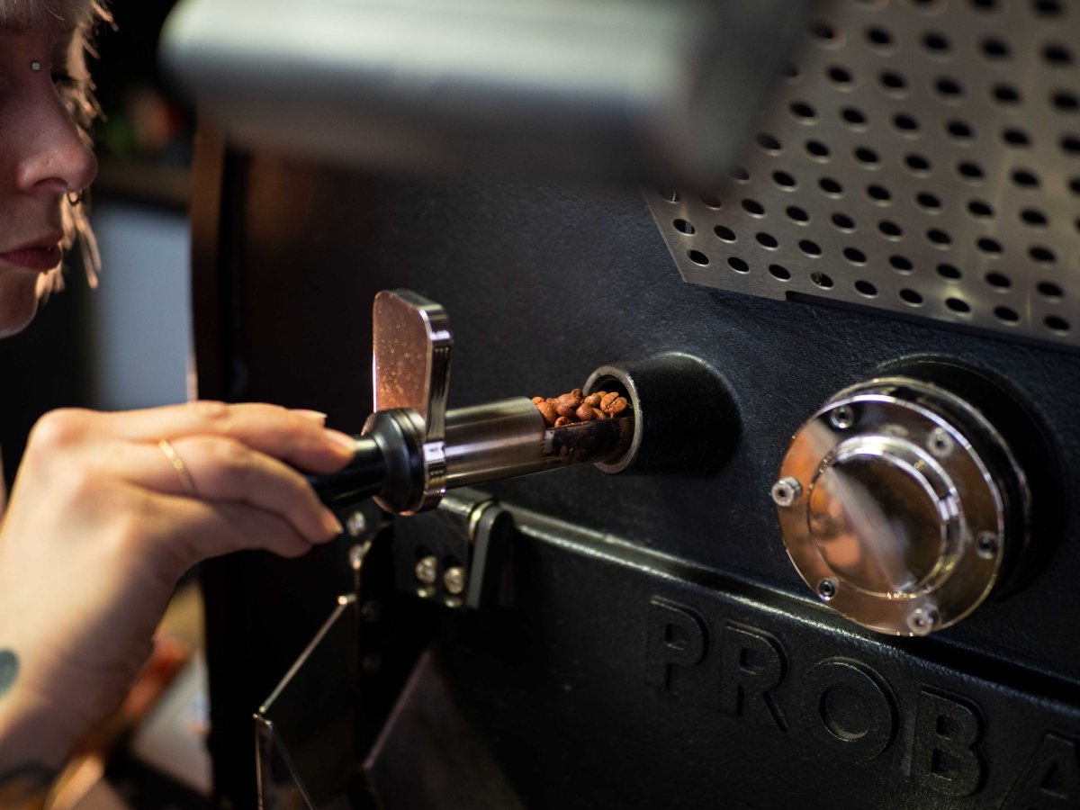 Welcher Kaffee passt zu meinem Vollautomaten? Das Probierset macht's einfach | Coffee Pirates