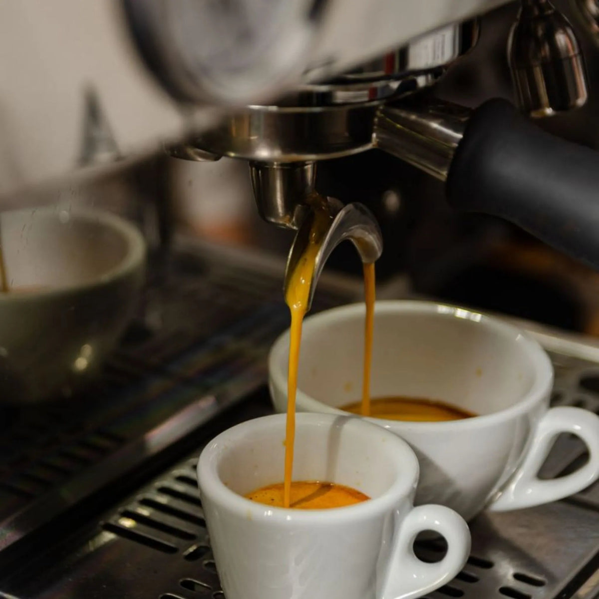 Baristakurs - der Kurs für Anfänger & Kaffeeliebhaber! - Coffee Pirates