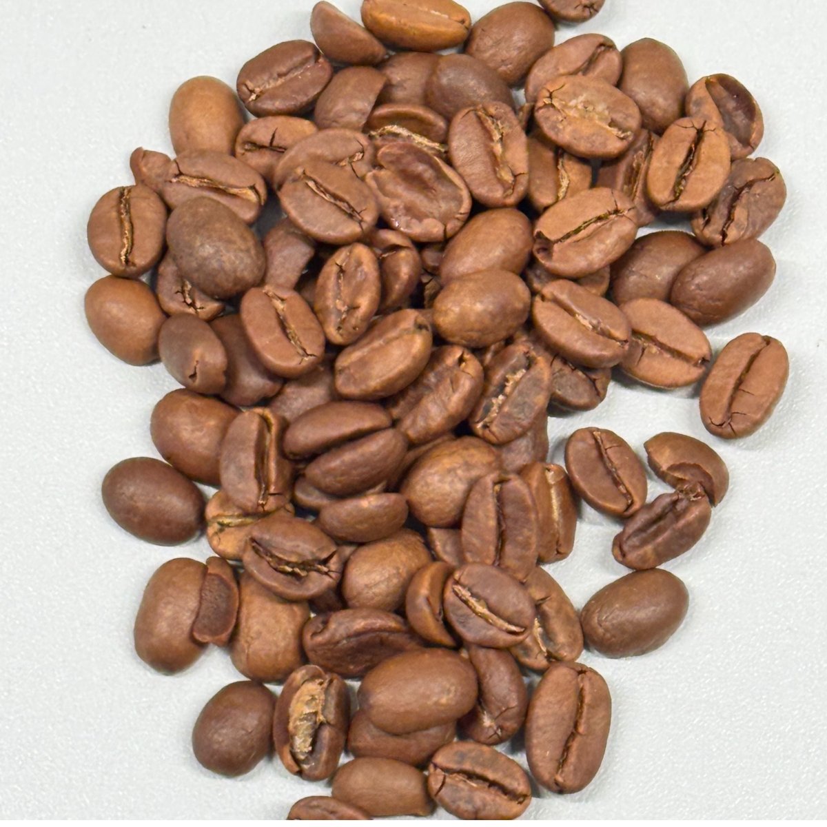 Indien Monsooned Malabar – 100% Arabica aus Karnataka mit einzigartigem Geschmack – Coffee Pirates
