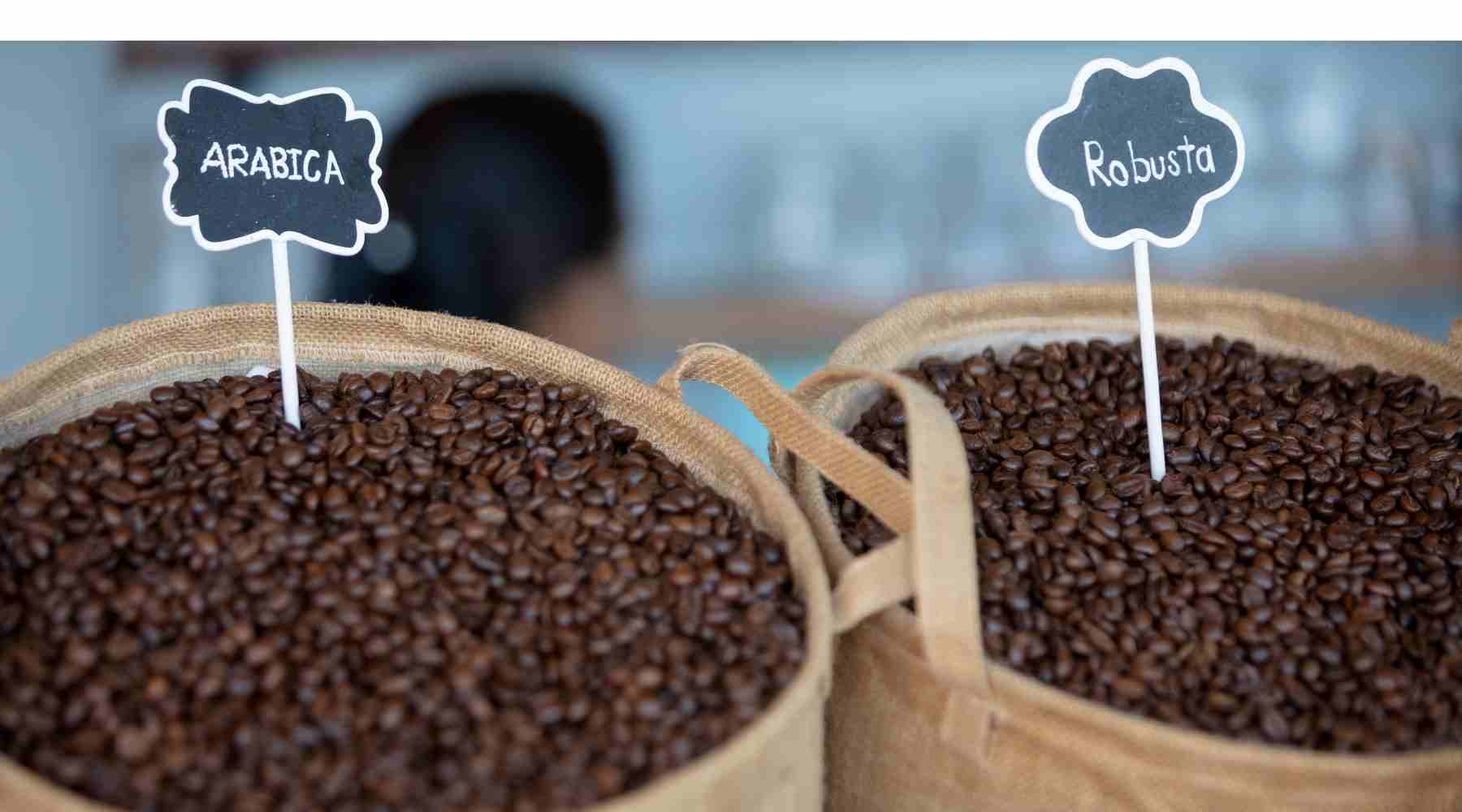 Arabica vs. Robusta - Coffee Pirates