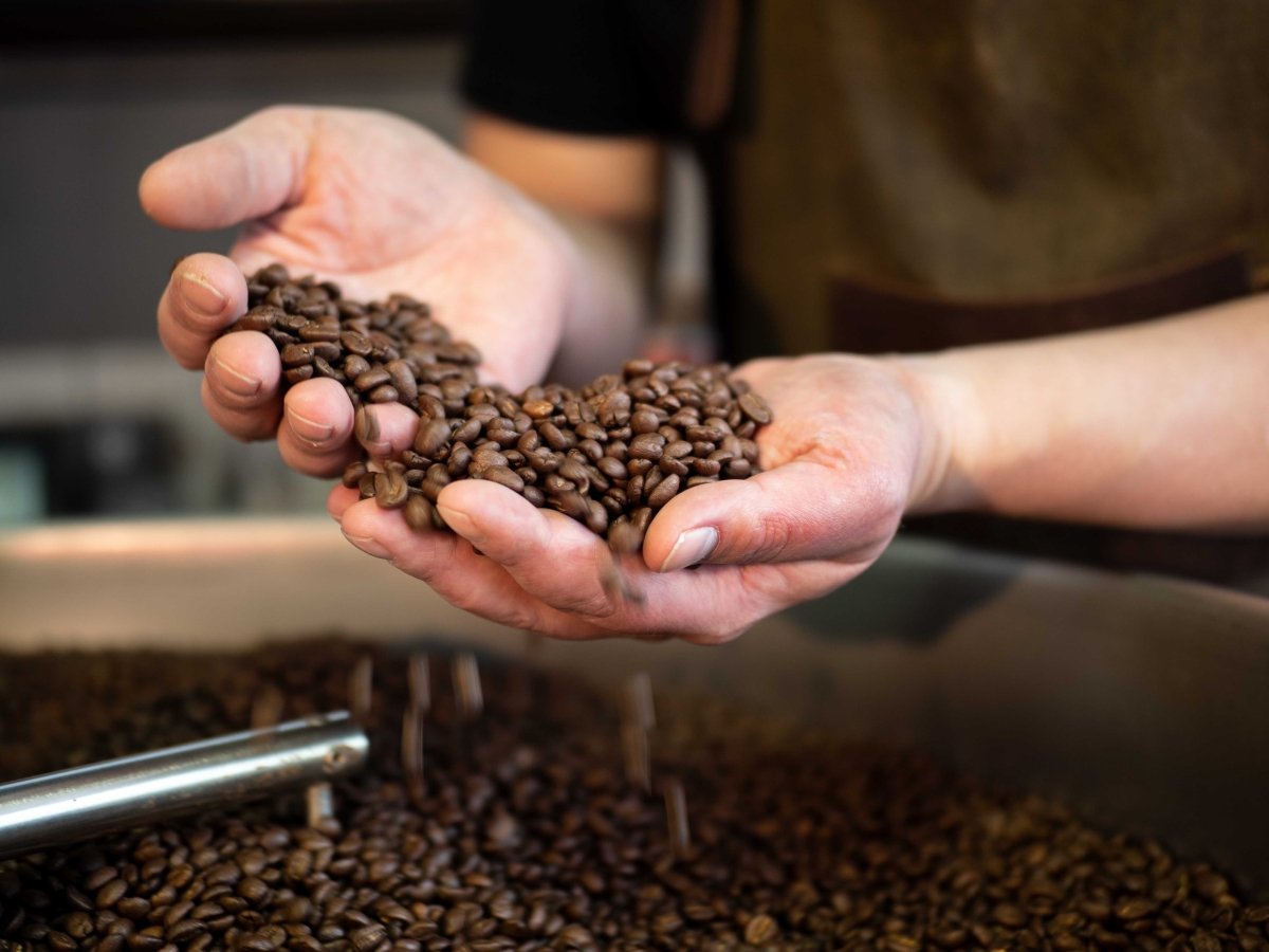 Kaffee Aroma, Fragrance und Flavor erklärt – Kaffeebohnen in der Hand | Coffee Pirates