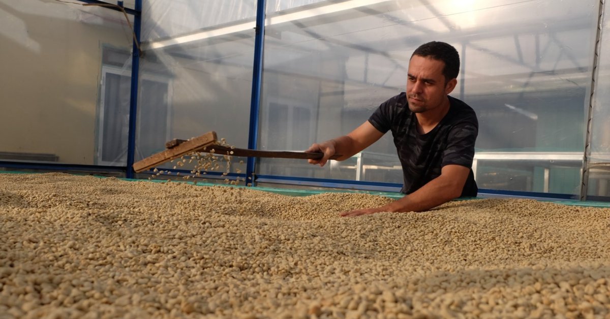 Kaffee des Monats November 2024: Lang Biang Vietnam - Coffee Pirates