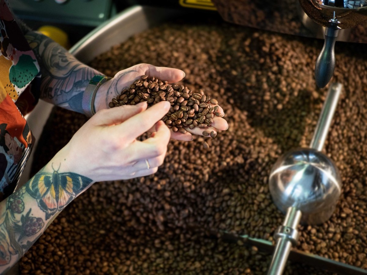 Kaffeemaschine entkalken – wann, wie oft und womit | Coffee Pirates