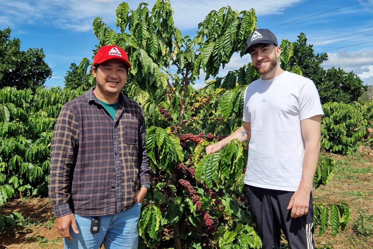 Vietnamesischer Kaffee: Geschichte, Anbau & Spezialitäten – Entdecke den Geschmack Vietnams! - Coffee Pirates