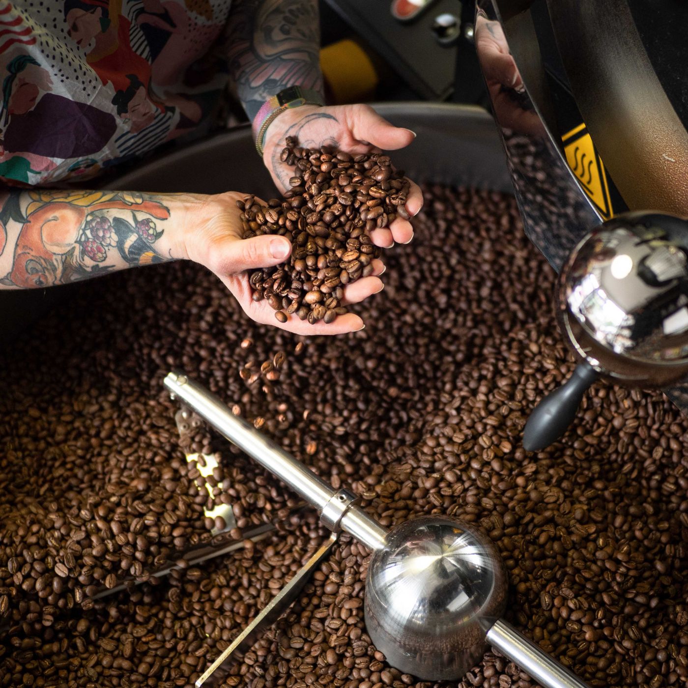 tätowierte hände Rösterin zeigt geröstete Kaffeebohnen