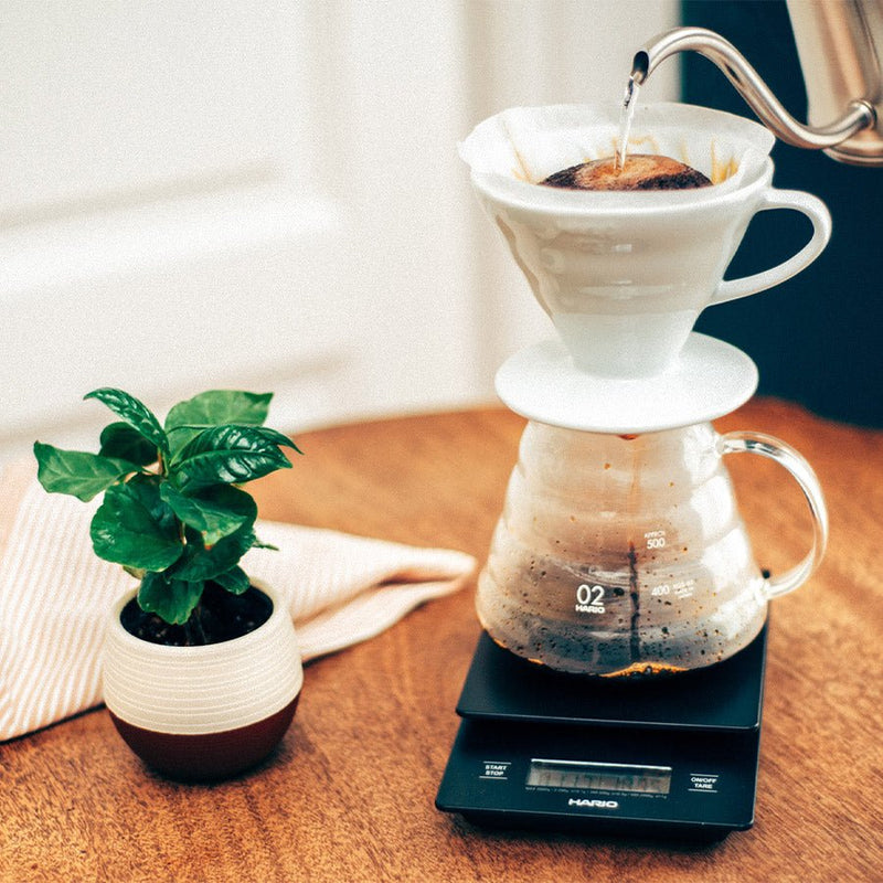 Hario Drip Scale Kaffeewaage - Coffee Pirates