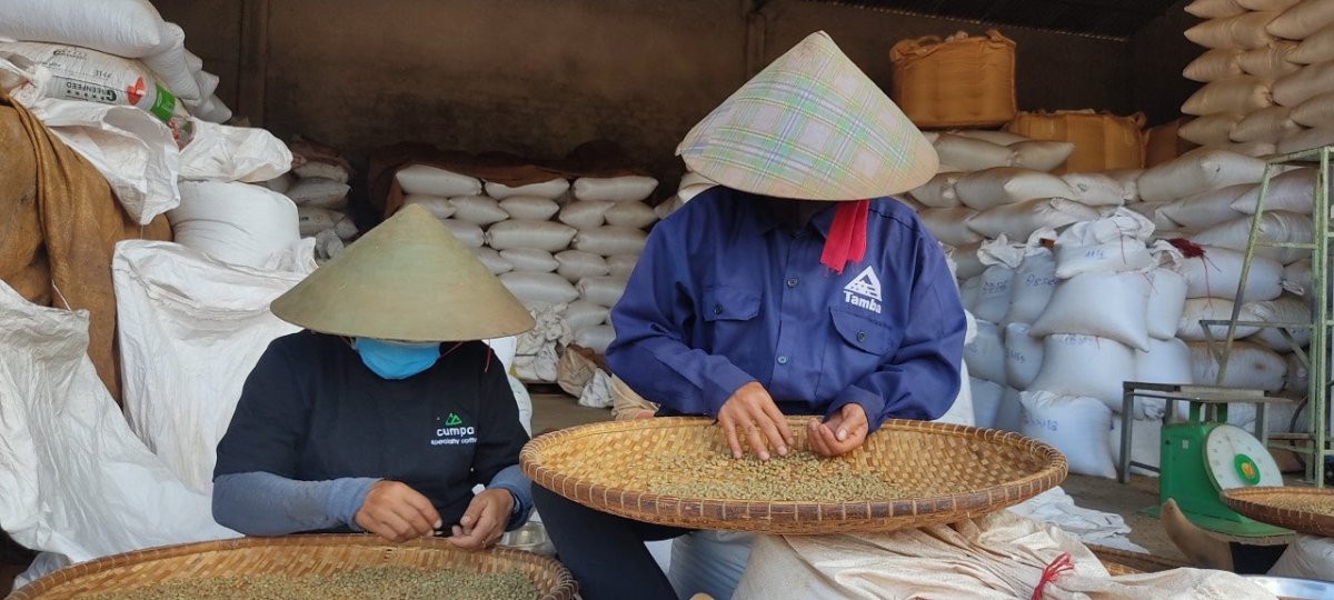 Vietnam Siêu Sao 100% Robusta - Coffee Pirates - Coffee Pirates